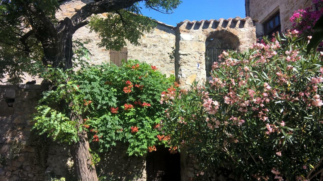 Les Studios De St Guilhem Saint-Guilhem-le-Desert Exterior photo