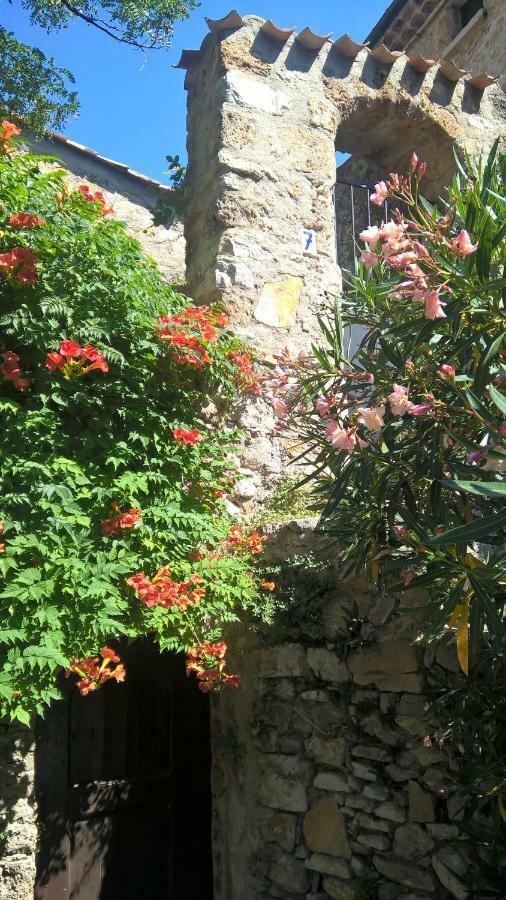 Les Studios De St Guilhem Saint-Guilhem-le-Desert Exterior photo