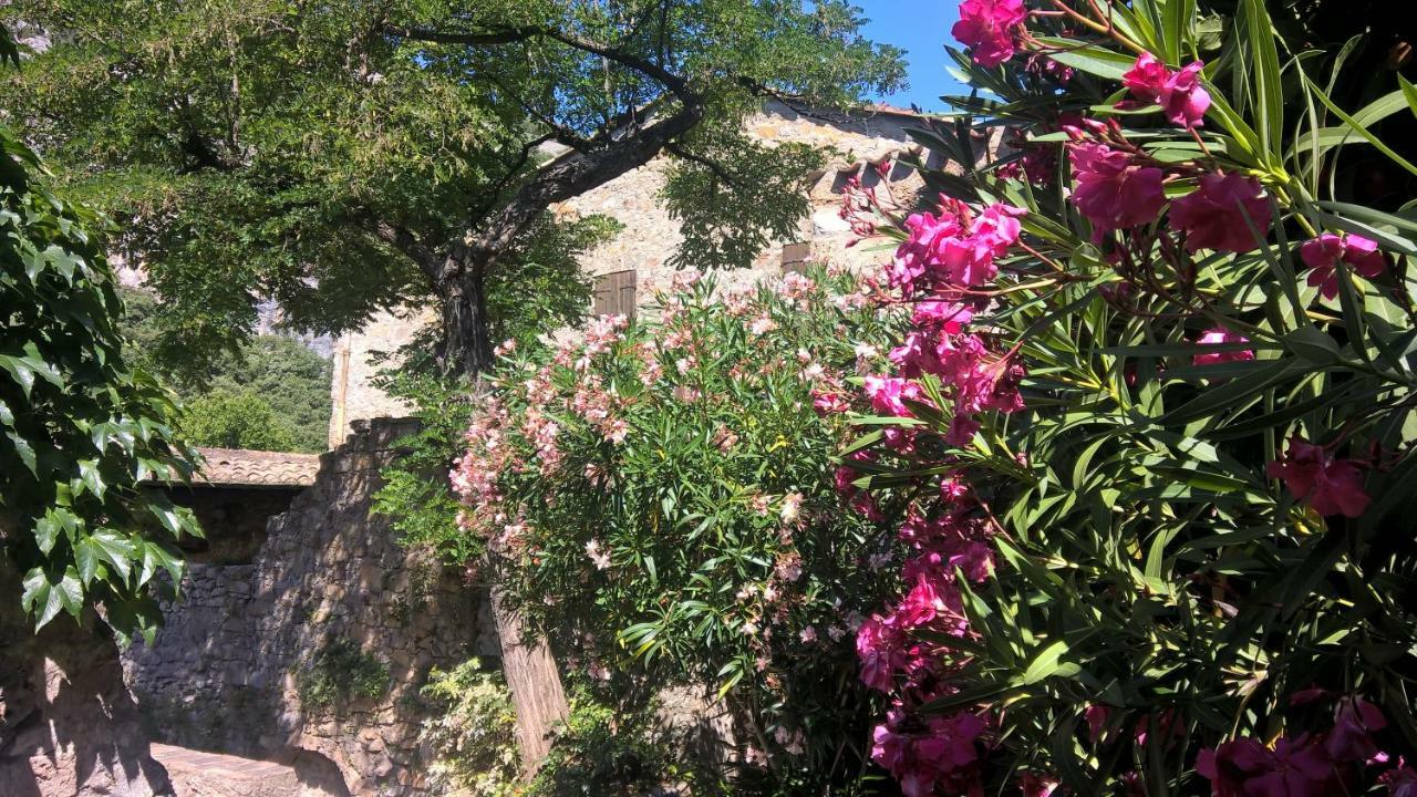 Les Studios De St Guilhem Saint-Guilhem-le-Desert Exterior photo